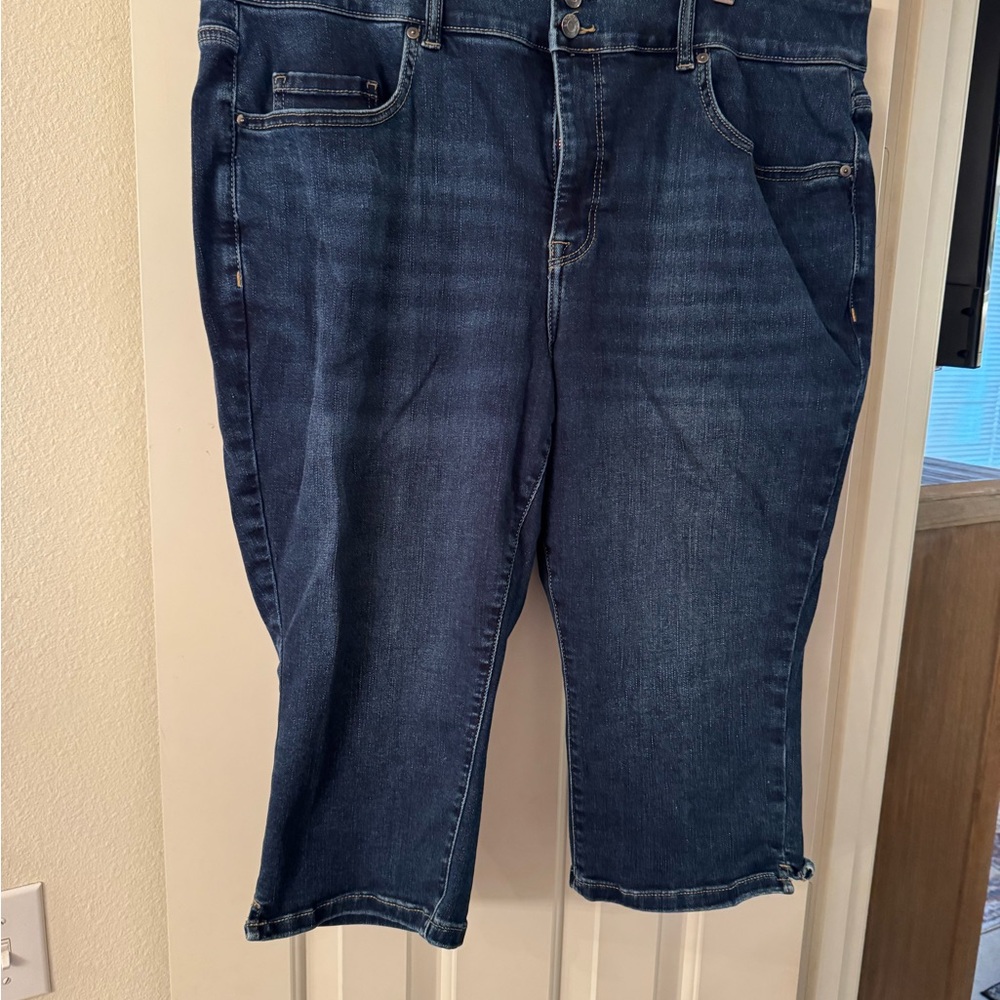 Lane Bryant Blue Pedal Cropped Jeans